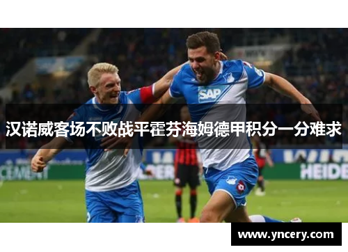 汉诺威客场不败战平霍芬海姆德甲积分一分难求