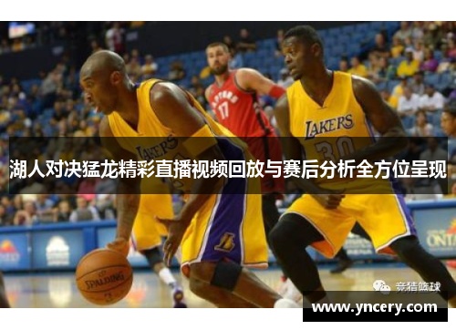 湖人对决猛龙精彩直播视频回放与赛后分析全方位呈现